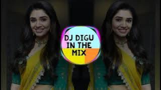 Hee Surekha Aaplyala Pathleli Hay || Duniyadaari || Tapori Remix || DJ 🎧DIGU🎧 Mumbai...