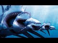 Megalodon किस तरह इस धरती से बिलुप्त हो गया | LARGEST Shark Megalodon Extinction