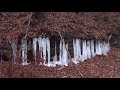 Bonny Blue, Virginia: A Slowly Dying and Disappearing Coal Camp in Lee County of Southwest Virginia