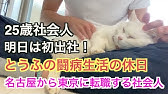 白猫と暮らす社会人の休日 Toeic勉強 猫と遊ぶ 上京生活 Youtube