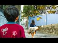 This boy can sees the world in slow motion  film explained in hindiurdu  summarized 