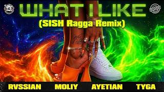 What I Like Rvssian, Moliy, Ayetian, Tyga Sish Ragga Remix