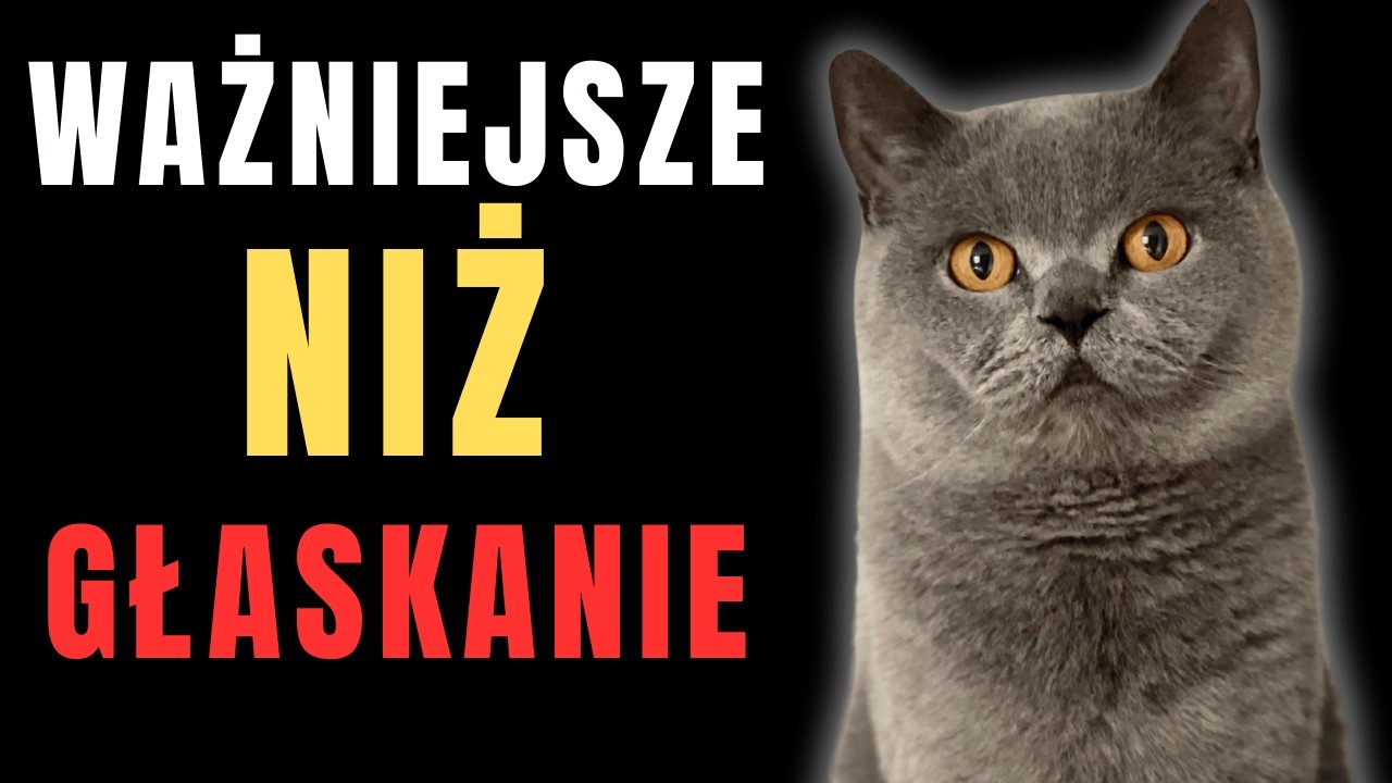 Według weterynarza te zachowania sprawiają, że koty płaczą ze szczęścia