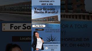 Chesapeake Lofts Sandusky, Ohio #condoliving #realtor #sanduskyohio, #waterfrontproperty