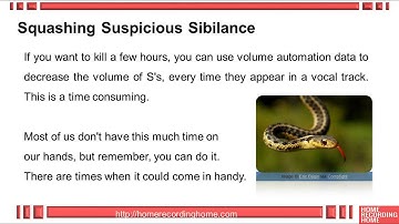 De-Essers - Squashing Sibilance [Recording Vocals Pt 7]