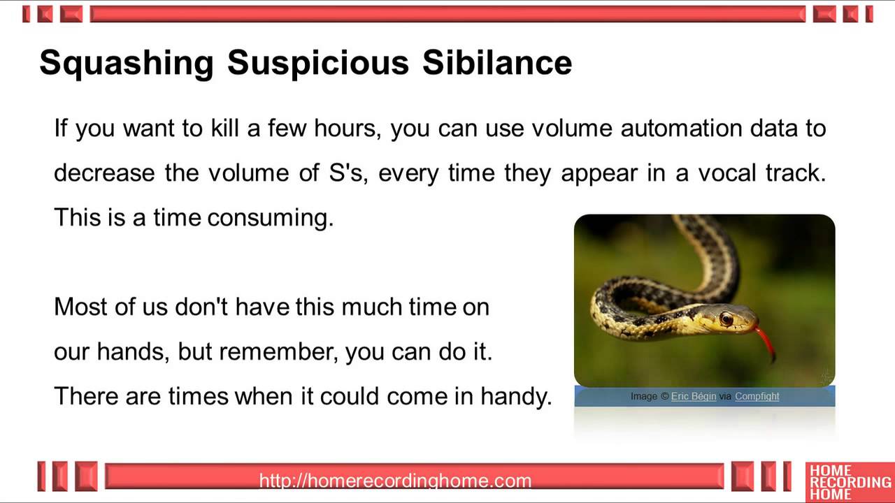 DeEssers Squashing Sibilance [Recording Vocals Pt 7] YouTube