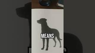 Science got weird #history #folklore #sciencefacts