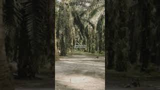 Luka yang ku sengaja - gitasmaraa - lirik.