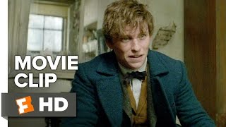 Fantastic Beasts and Where to Find Them Movie CLIP - Just a Smidge (2016) - Movie