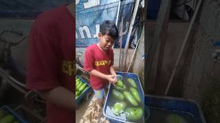 Practical Ways to Wash Kiojai Mangoes to Keep Them Smooth \u0026 Clean 🥭