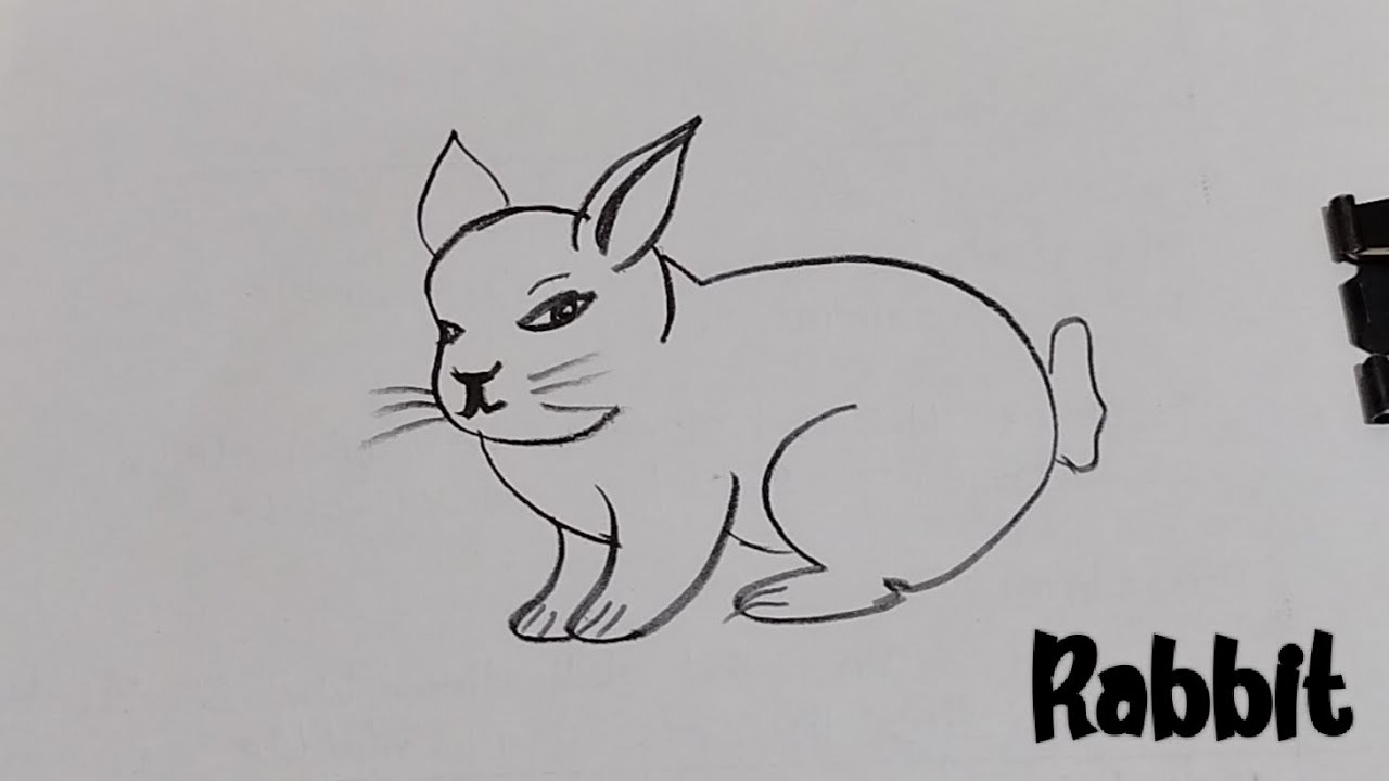 How to draw a rabbit 🐰🐰||rabbit drawing||very easy||art video 