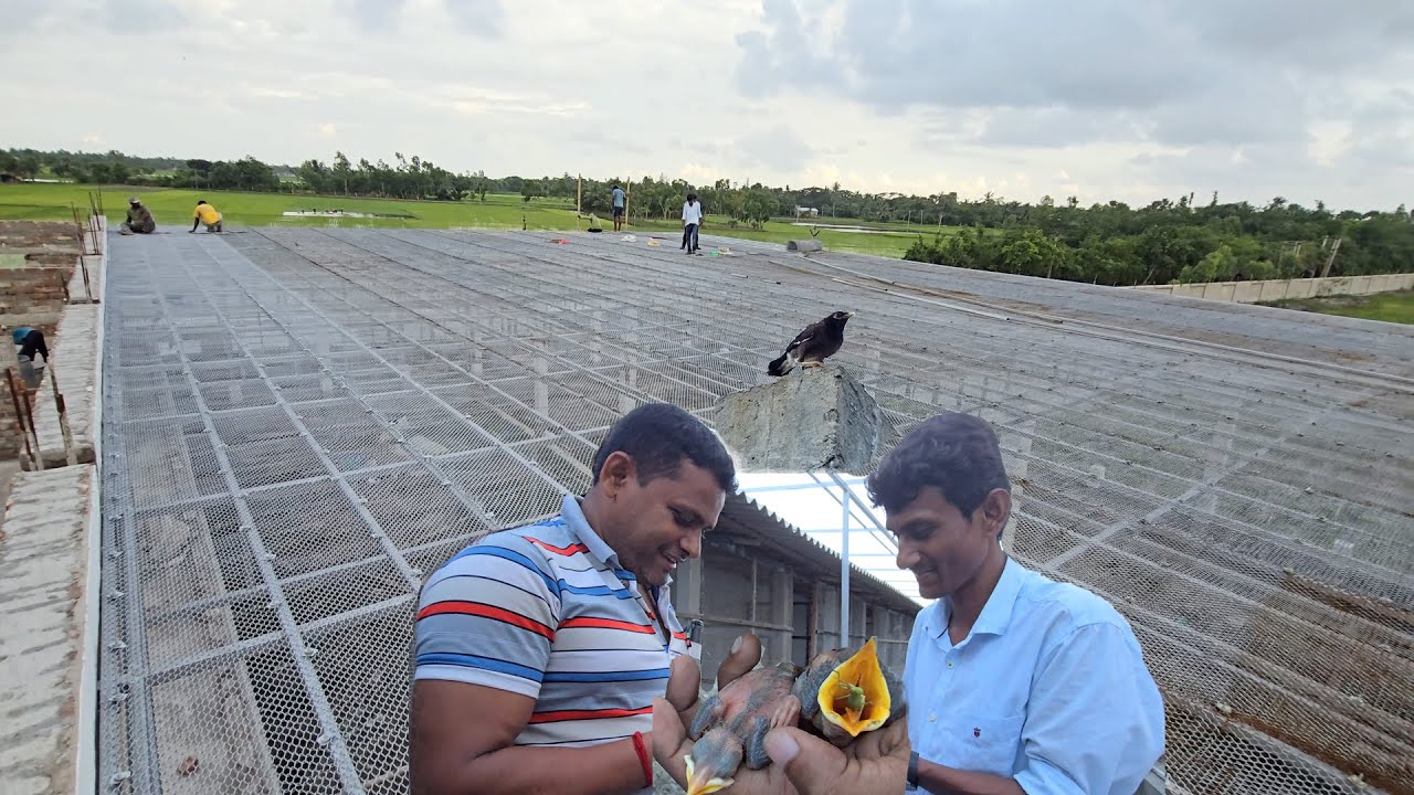 Photo inspiration: Indian Mayna Breeding Parrot Dipankar New Parrot Farm Aviary Shape Photo Inspiration