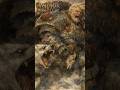 Leman Russ and Space Wolves Explained | Warhammer 40k Lore To Sleep #asmr #lore #explained #sleep