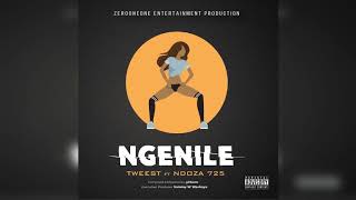 Ngenile   Tweest ft Ndoza725