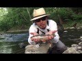 【アメリカでフライフィッシング】Catch &amp; Release movie at PA 2015 May