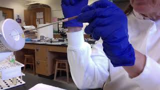 lab Ch 9 motility agar deeps movie 3 13 2020