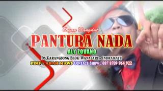Download Lagu Aly zovano - ayu adine live show pantura nada aly zovano MP3