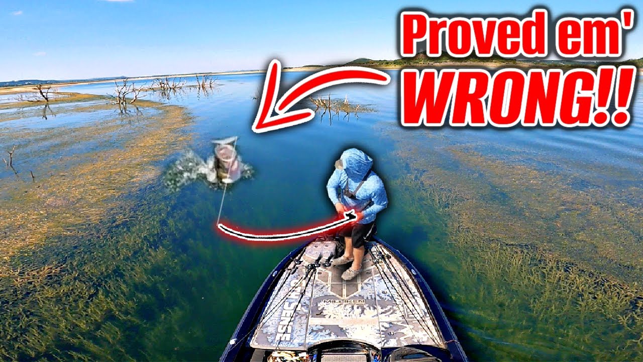 The Locals told me... 