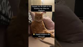 Αρχικά κουμάντο εδώ κάνω εγώ 😂 #κατοικιδια