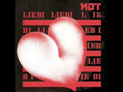 NDT — NDT  schwarzer vogel