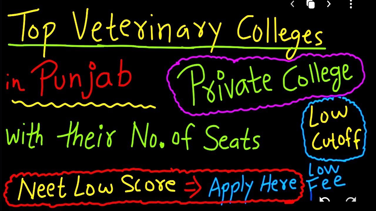 Punjab TOP *PRIVATE* Veterinary Colleges & Their Seat Matrix Low CutoffLow FeesNEET UG BVSc