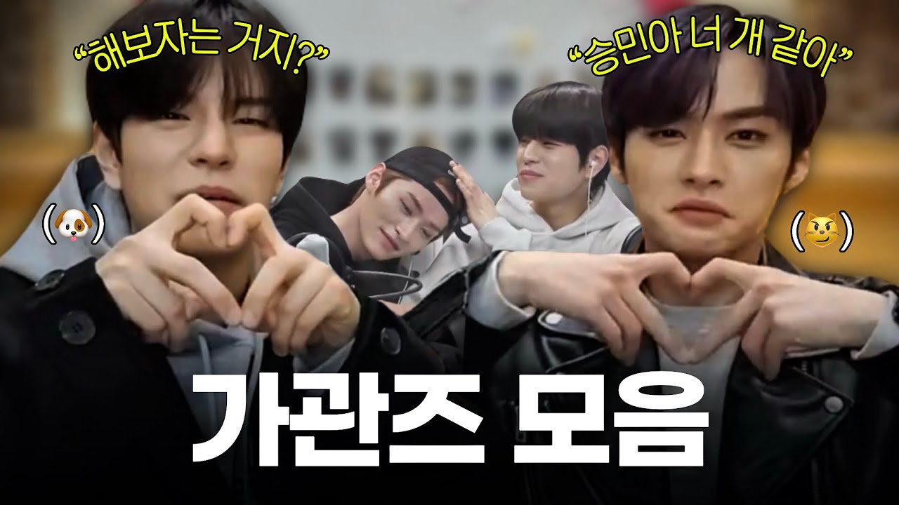 [스트레이키즈] 가관즈 케미 모음