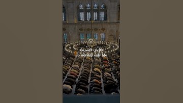 عبد الرحمن مسعد (كل نفس ذآئقة الموت)سورة العنكبوت راحة نفسية والطمأنينة #المصحف #راحة_نفسية #لايك