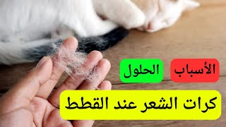 حل مشكلة ترجيع الشعر عند القطط ???‍⚕️