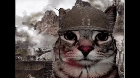 Calm luh day of rust, 2x raid defense, pvp blah blah