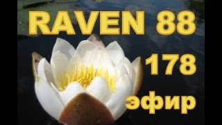 RAVEN 88 ЭФИР 178