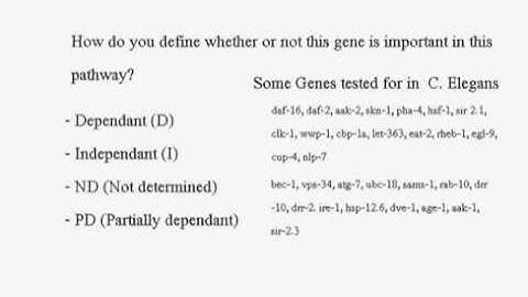 Aging: Dietary Restriction with C. Elegens and DR Pathways