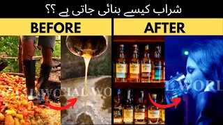 HOW to make alchol ??شراب کیسے بنائی جاتی ہے ؟؟ | official world