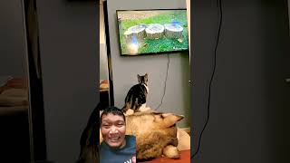  Surprise Happy shorts happy fyp surprise funny viral remix trending youtubeshorts