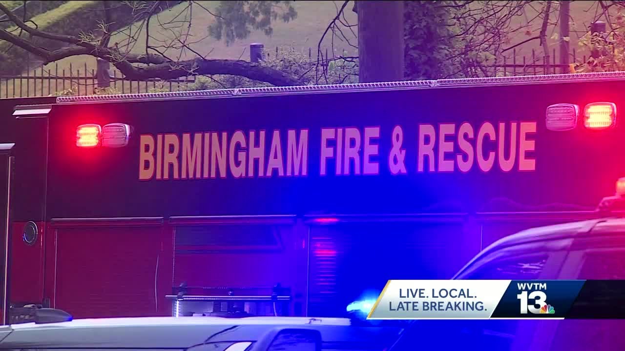 Child and two adults killed in Birmingham traffic crash identified ...
