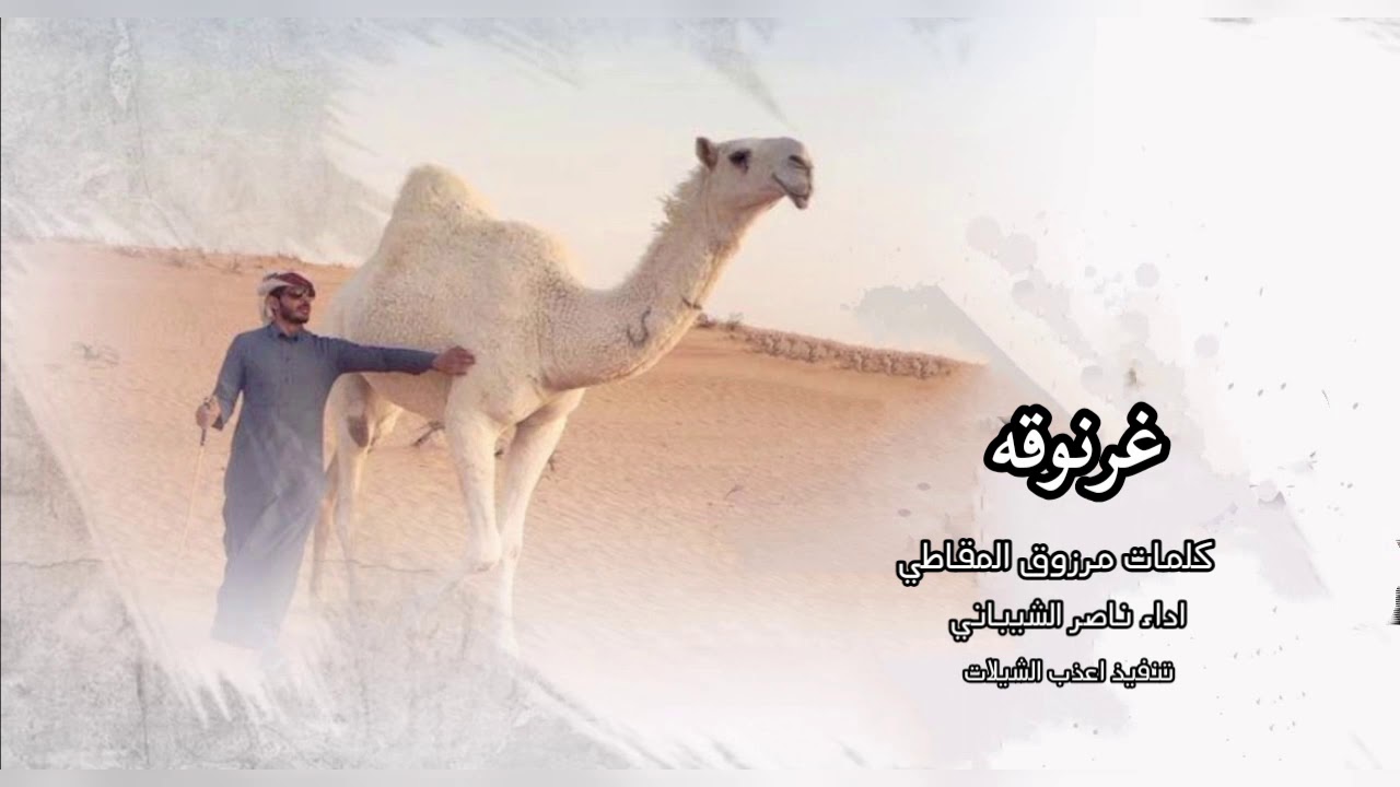 حداني الوقت لين ارخصت غرنوقه كلمات مرزوق المقاطي اداء ناصر الشيباني