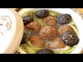 [Eng] Lion’s Head Meatball Casserole 砂鍋獅子頭: Juciy Melt-in-Your-Mouth Lion&#39;s Head Meatballs !