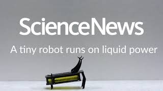 A tiny robot runs on liquid power | Science News screenshot 4