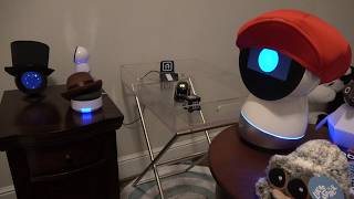 Jibo and Friends  Countdown to New Year's