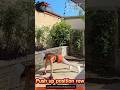 Push up position row