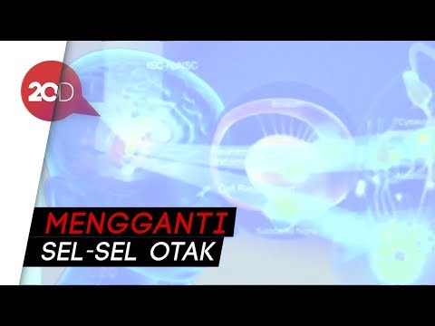 Video: Tremor - Pengobatan Tremor Dengan Pengobatan Tradisional Dan Metode