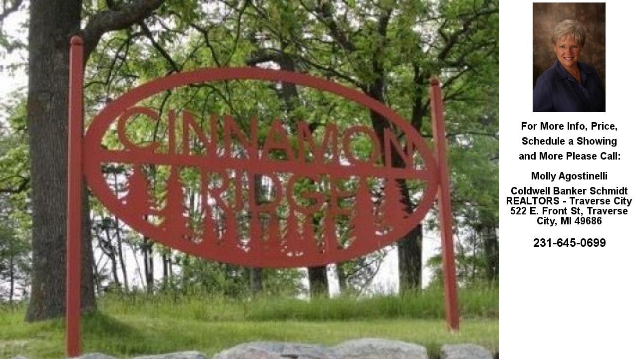 1382 Saffron Circle, Traverse City, MI Presented by Molly Agostinelli