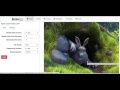Vidzgif - Video to Animated GIF Sampler chrome extension
