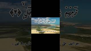 Surah Al-Fil Ayat 3-5 | Ababil Parindon Ka Azaab 🕊️ #shorts #essafaseel #qurantilawatwithessafaseel
