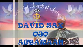 DAVID SAX: OJOAGBARANAN Net Worth