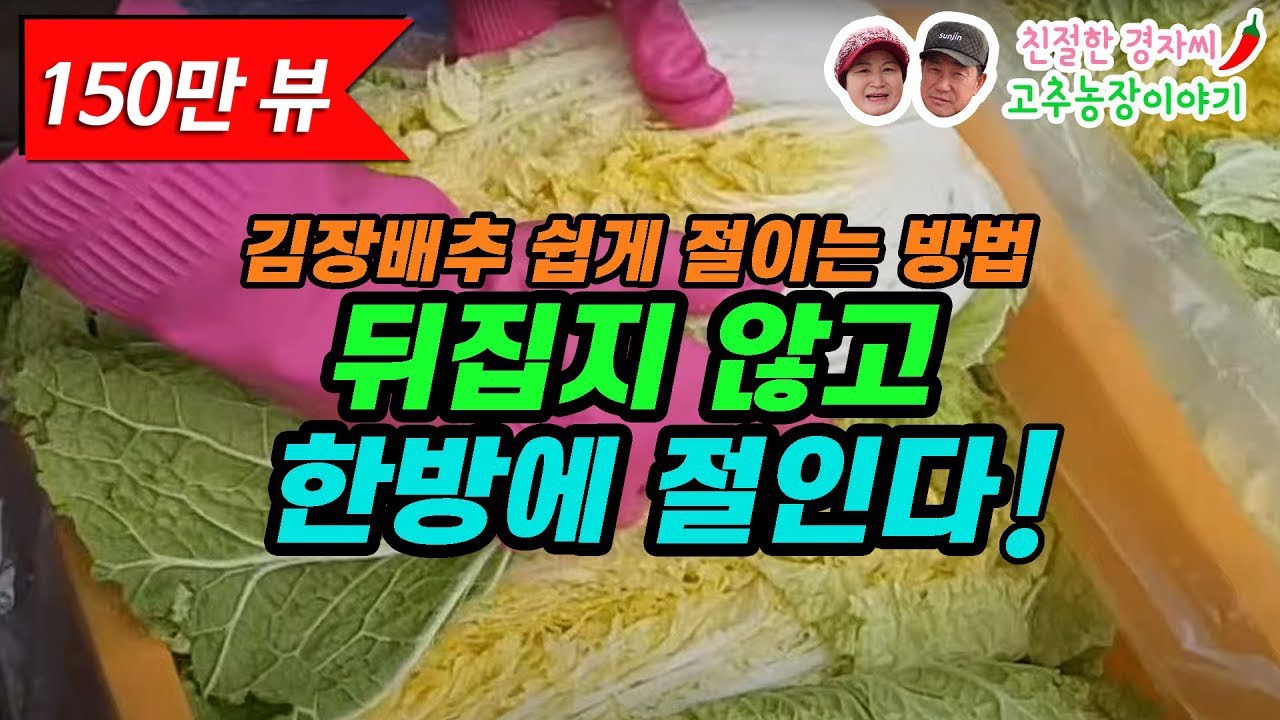 고추수확 상자를 이용한 김장배추 쉽게 절이기! (강원도 영월이래요)