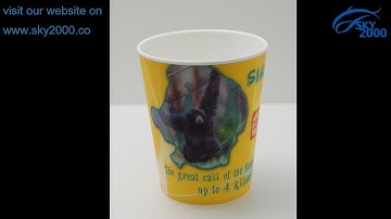 380ML 3D Lenticular Cup of BurgerKing promotional project