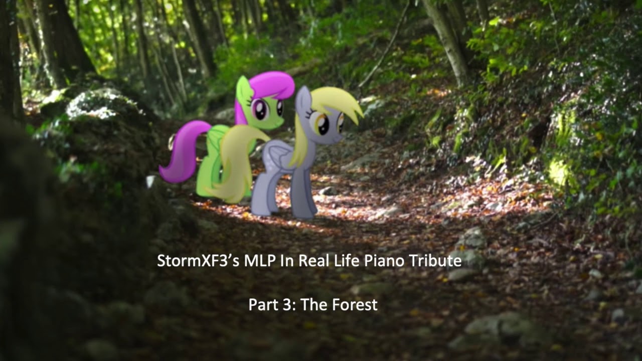 Stormxf3 S Mlp In Real Life Piano Tribute Part 3 The Forest Youtube