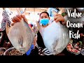 Market Tour - Buy Expensive Ocean Fish For Making Recipe - Ocean Fish Cooking - Cooking With Sros