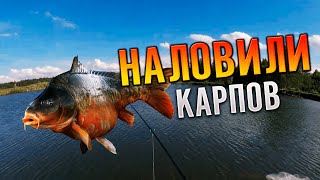 Наловили хороших карпов/семья/природа/отдых.4 К