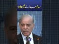 Shehbaz Sharif Reveals Harsh Realities of Pakistan’s Economy #trendingnow #breakingnews #shortsfeed